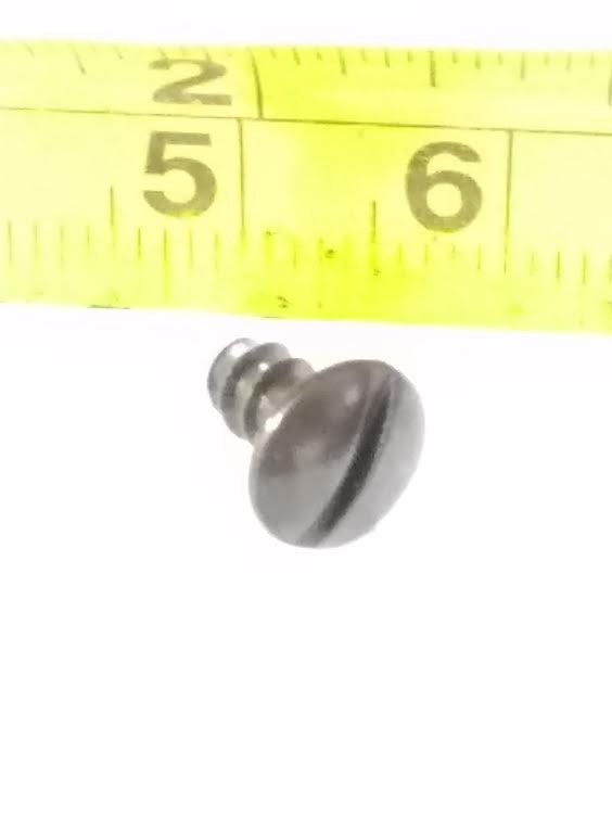 REPLACEMENT SCREW
